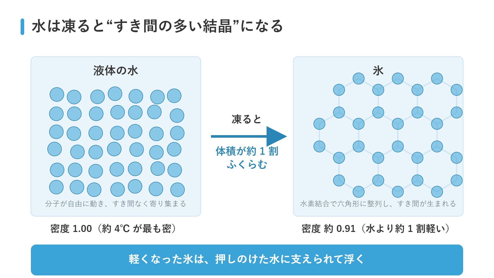 液体の水と氷の分子配置の比較図：凍ると水素結合で六角形に整列してすき間が生まれ、体積が約1割ふくらんで密度が約0.91になる