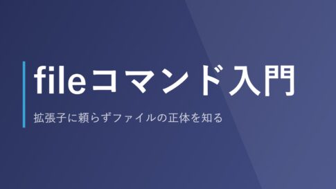 fileコマンド入門｜拡張子に頼らずファイルの正体を知る
