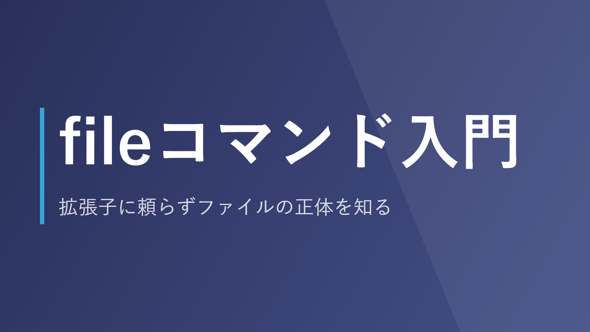 fileコマンド入門｜拡張子に頼らずファイルの正体を知る